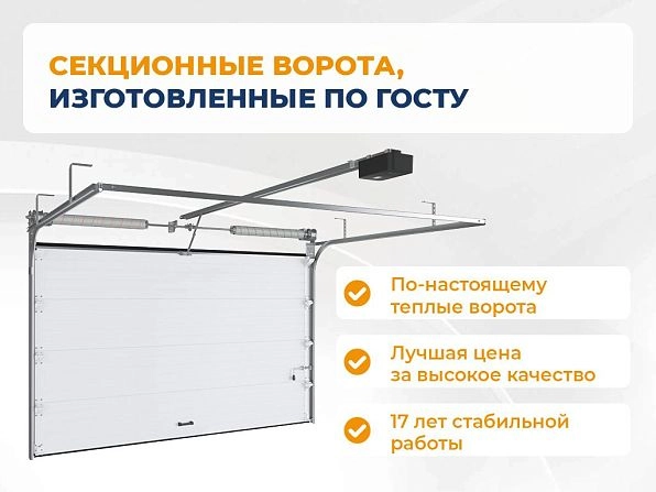 Секционные ворота 3100х2950 мм коричнево-красные DoorHan RSD02, izhevsk.doorhan.ru